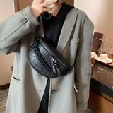 Aeris - Quilted Fanny Pack Crossbody Bag