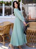 Pierre Solid Pleated Long Dress