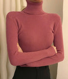 Rib-Knit Turtle Neck Top