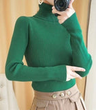Rib-Knit Turtle Neck Top
