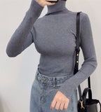 Rib-Knit Turtle Neck Top