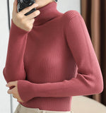 Rib-Knit Turtle Neck Top