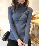 Rib-Knit Turtle Neck Top