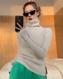 Rib-Knit Turtle Neck Top