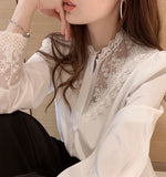 Lace Panel Buttoned Blouse