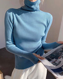 Rib-Knit Turtle Neck Top