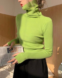 Rib-Knit Turtle Neck Top