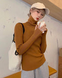 Rib-Knit Turtle Neck Top